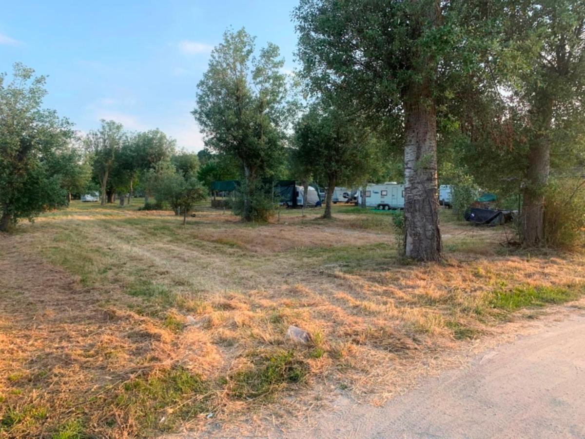 Paliouri Luxury Bungalows Bagian luar foto