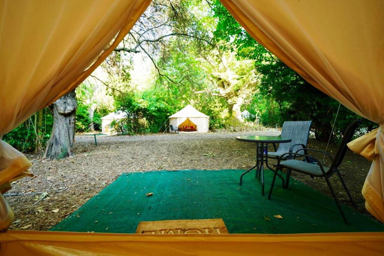 Paliouri Luxury Bungalows Bagian luar foto