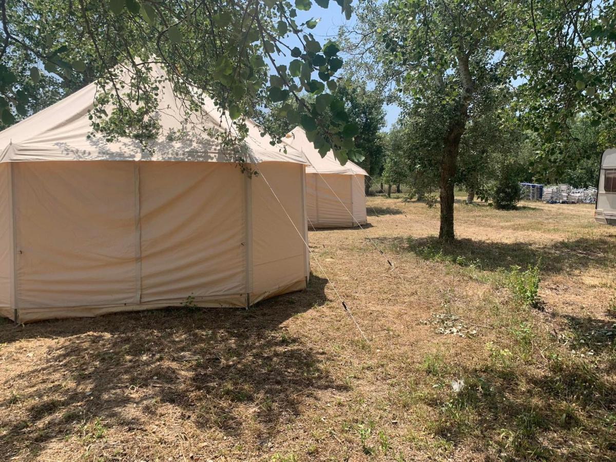 Paliouri Luxury Bungalows Bagian luar foto
